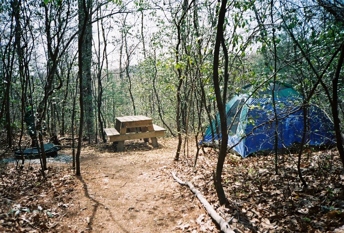 Tent and table in woods