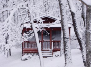 Cabin in snow