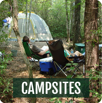 Brevard Campsites